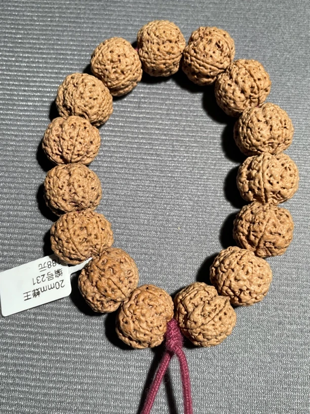 20mm蜂王编号231 金刚菩提