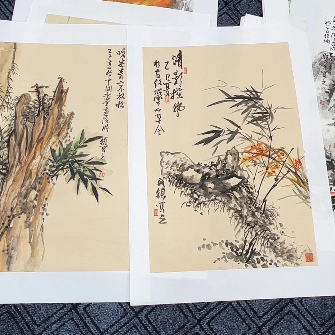 用***2国画杜宝民老师四尺三开花鸟奇2