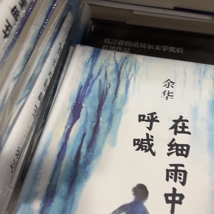 在细雨中呼喊十米一个