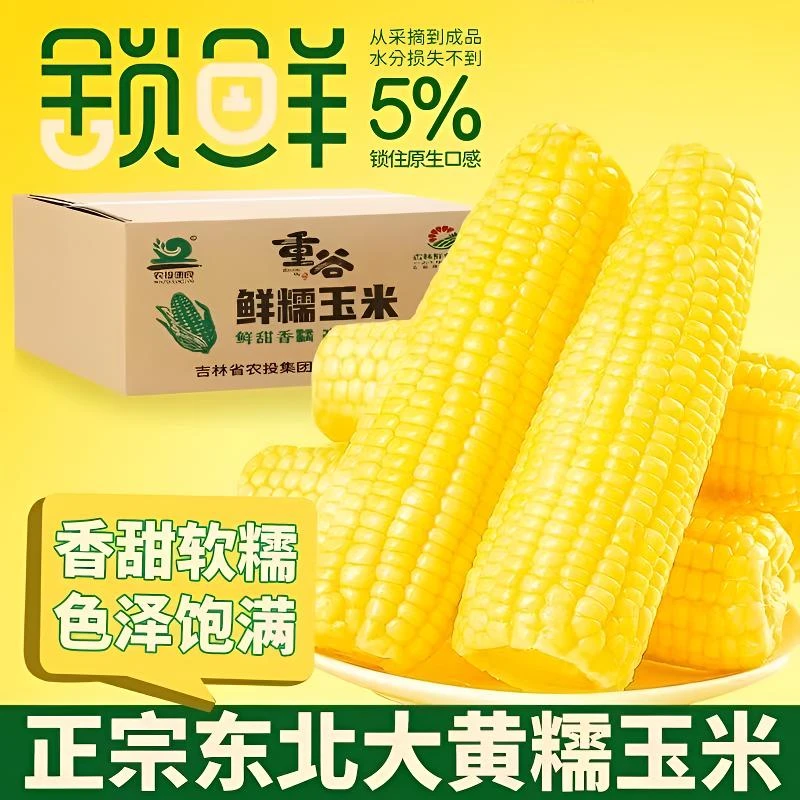 精品东北黑土地糯玉米代餐营养软糯美味真空包装香甜可口早餐必备