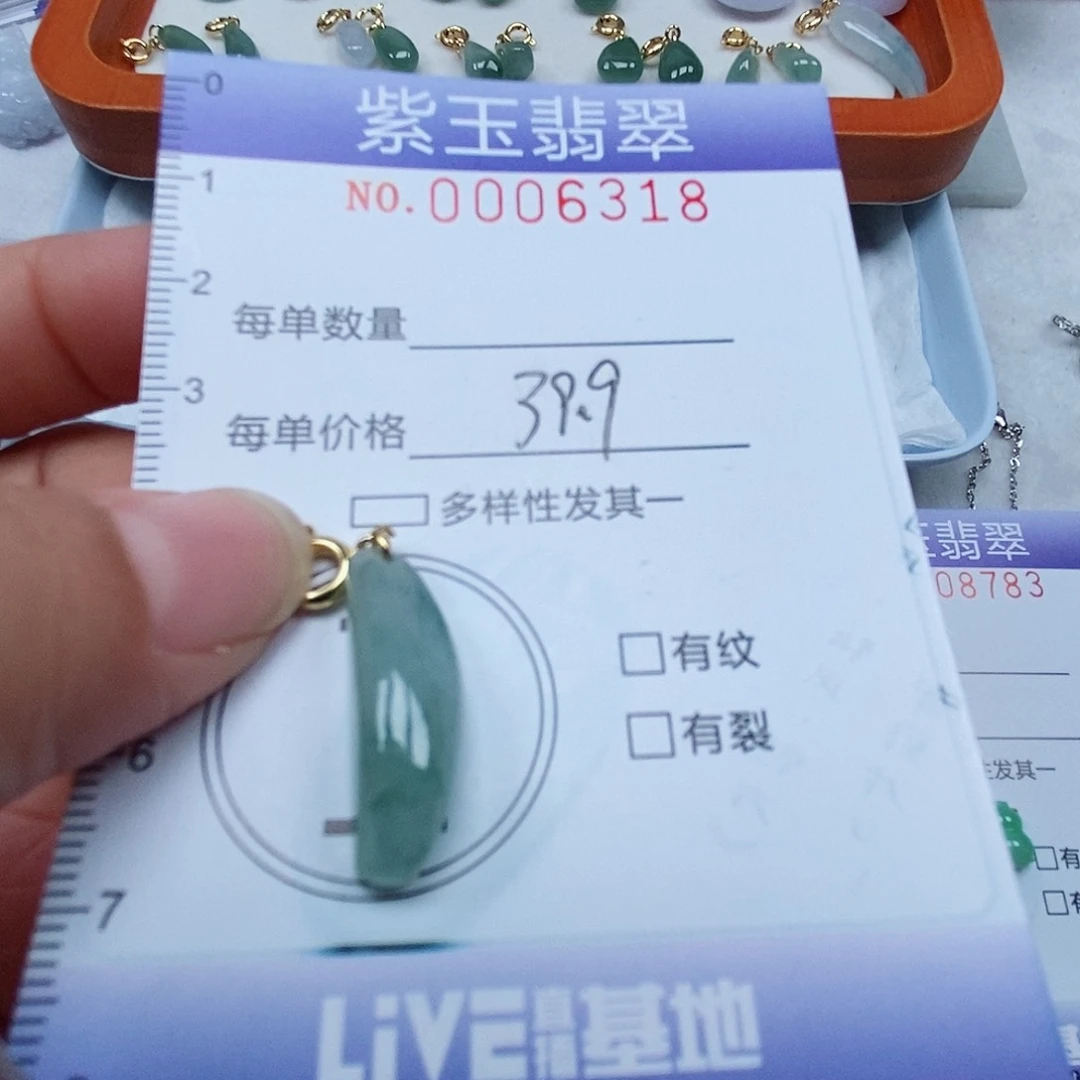 颈饰未镶嵌翡翠冰透飘花随行