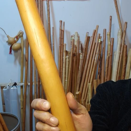 干***垃秦岭石山红荀子，牛筋木