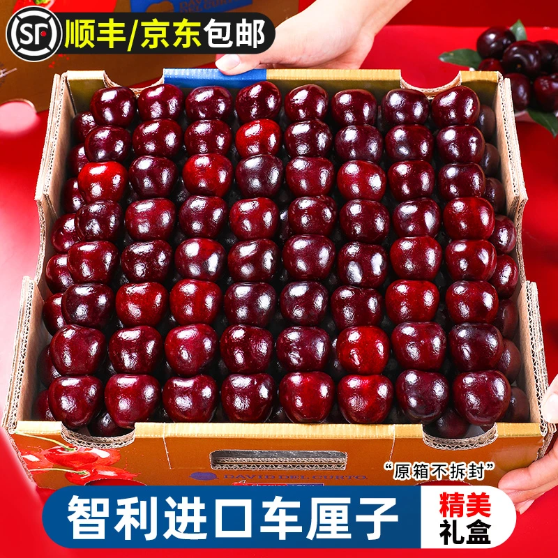 【原箱5斤礼盒】智利进口车厘子海运拉宾斯J-5J新鲜水果 内附果径卡