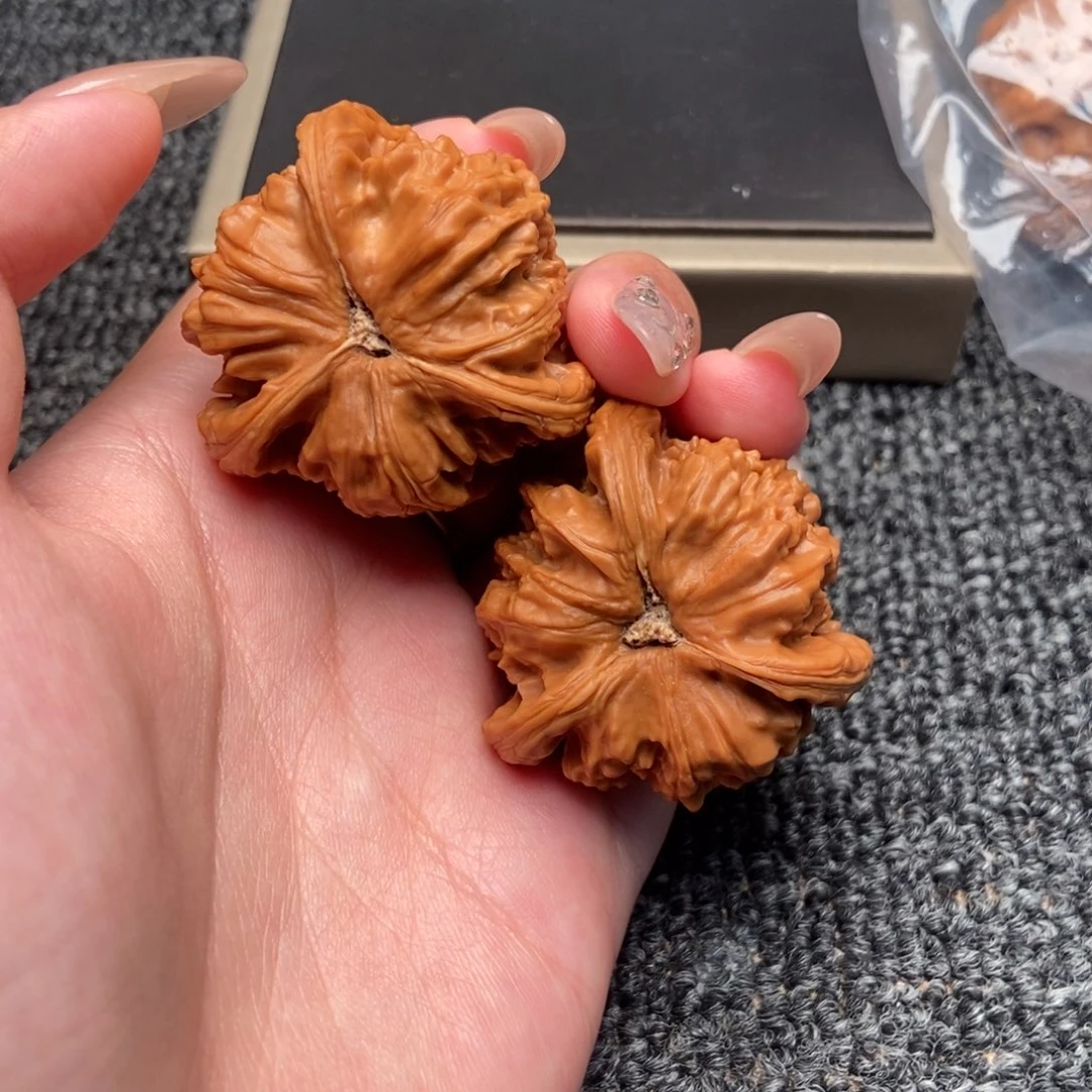 对***…木质类白狮子正奔