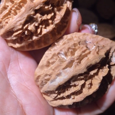 文玩核桃把件东北野生楸子小美13瑕疵