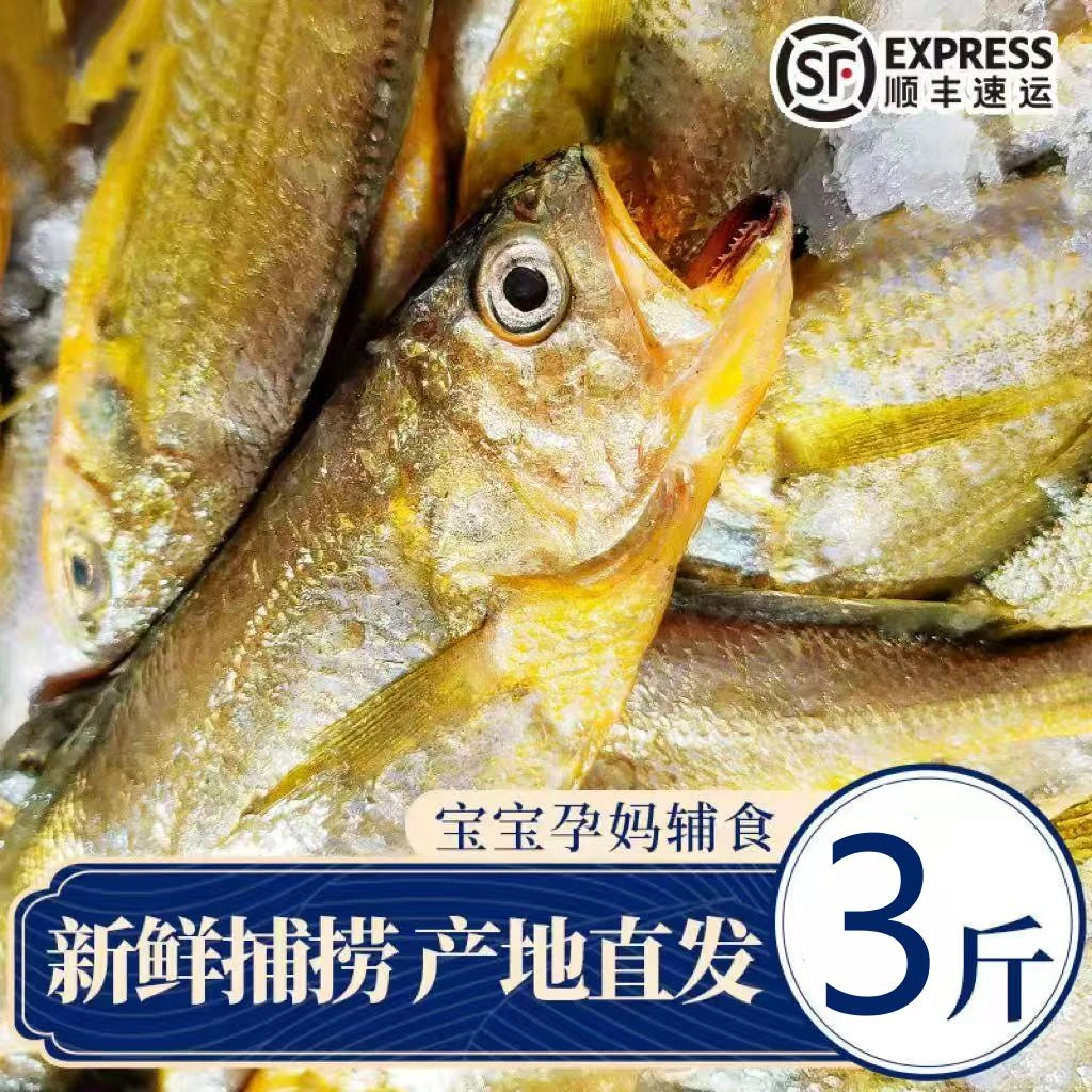 S 舟山海鲜深海小黄鱼新鲜液氮锁鲜10-12条/斤 3斤装