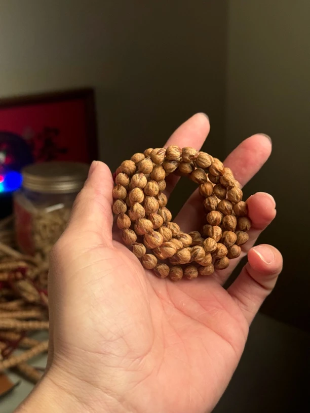 热振柏香籽红油红芽原桩