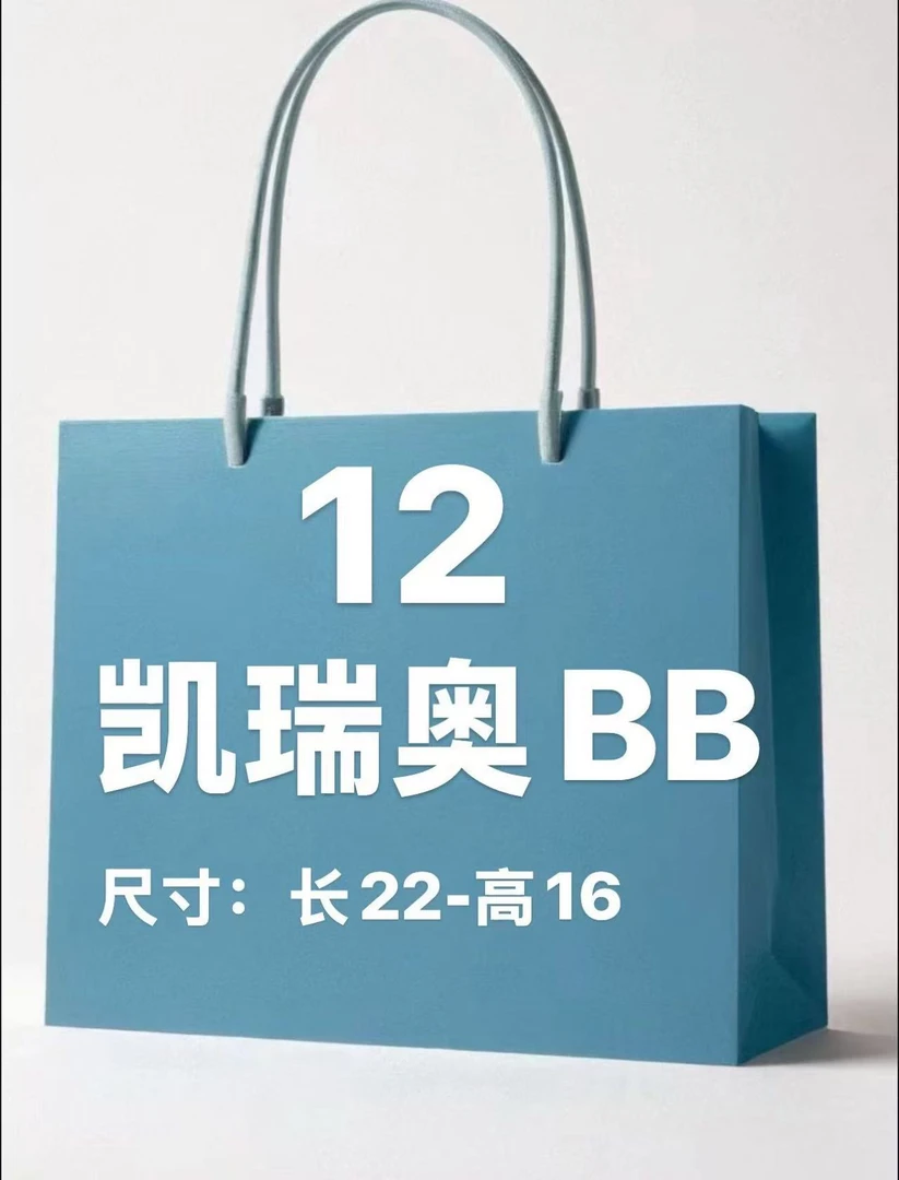 【1019小】Carryall小号包斜挎单肩包时尚经典