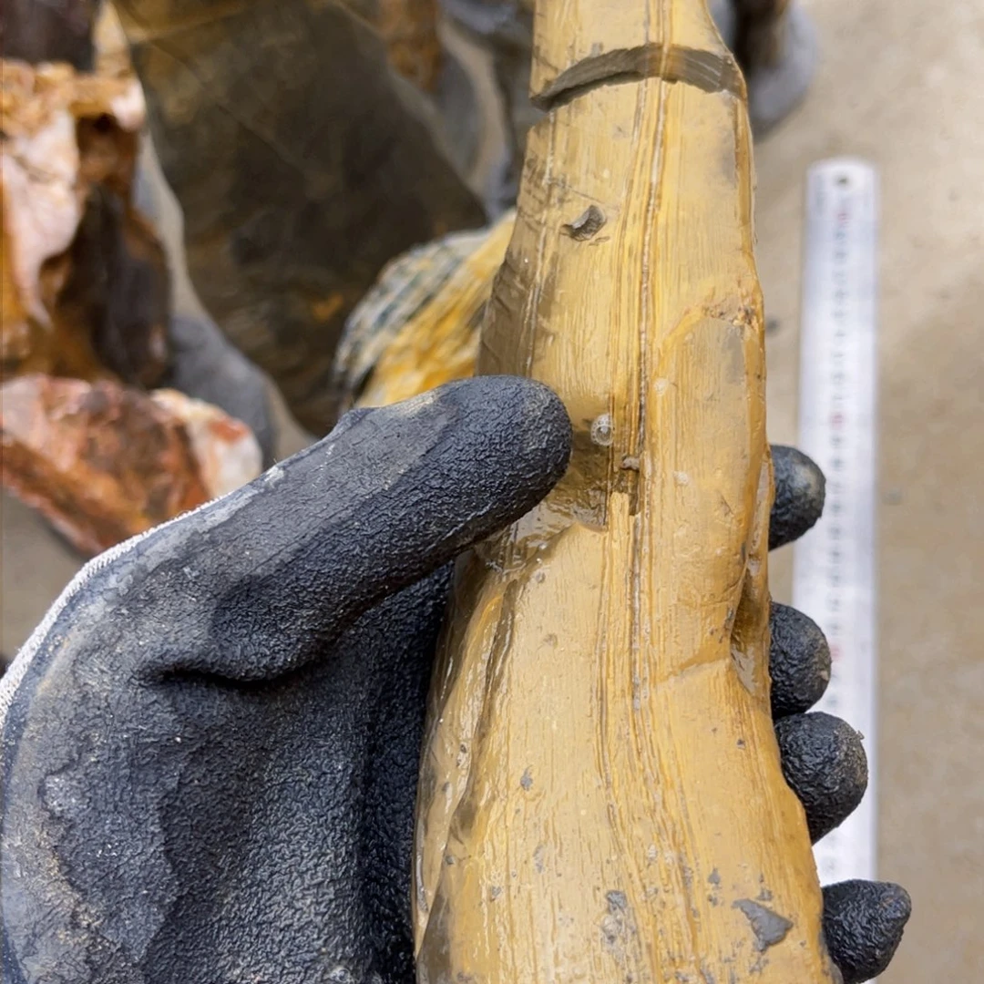 靖*哥附石盆景一物一拍