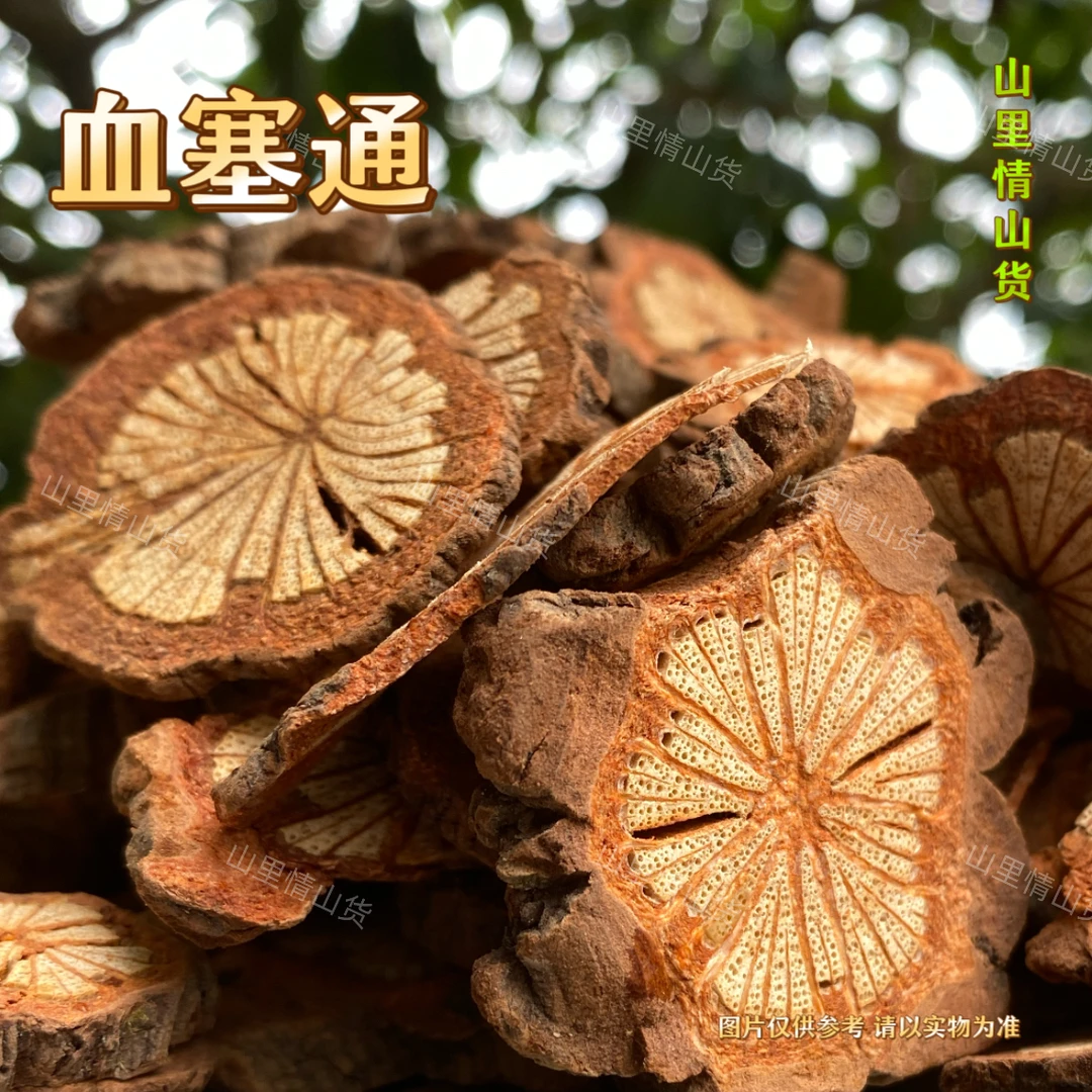 太阳姐姐 - 血塞通