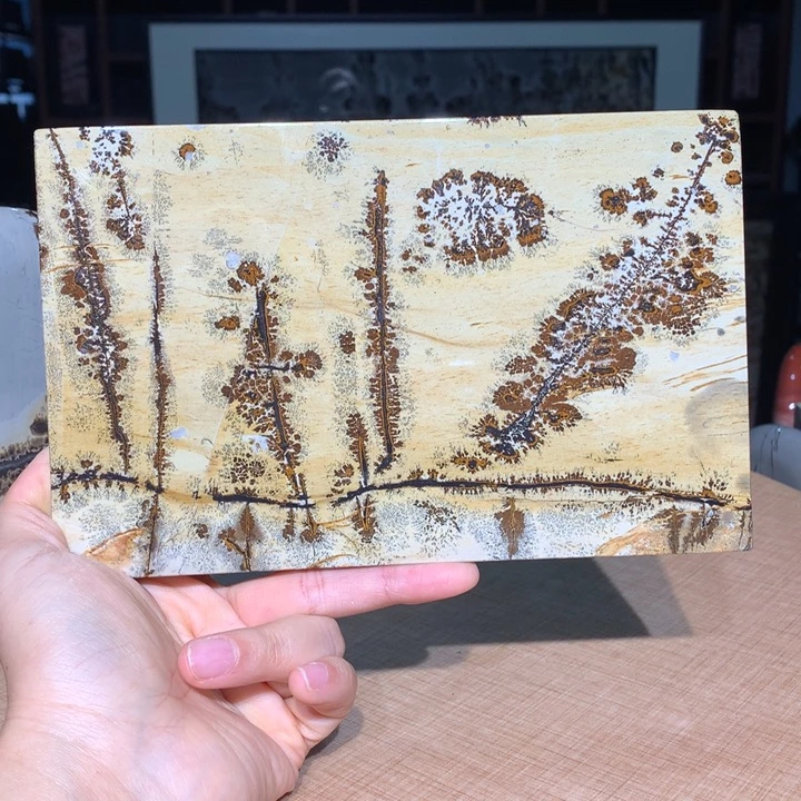 风***客，广西国画石摆件，收藏观赏