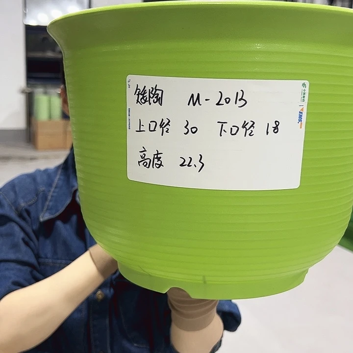 正品矮陶口30高21果绿无托5个