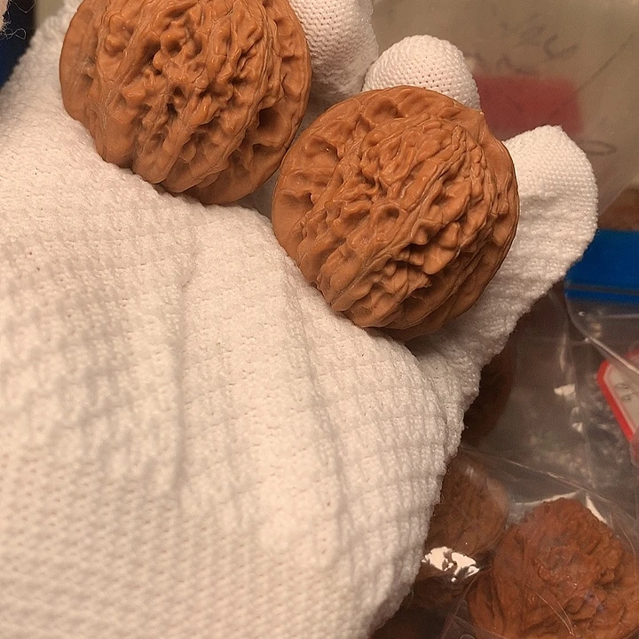 38尺寸四座楼核桃