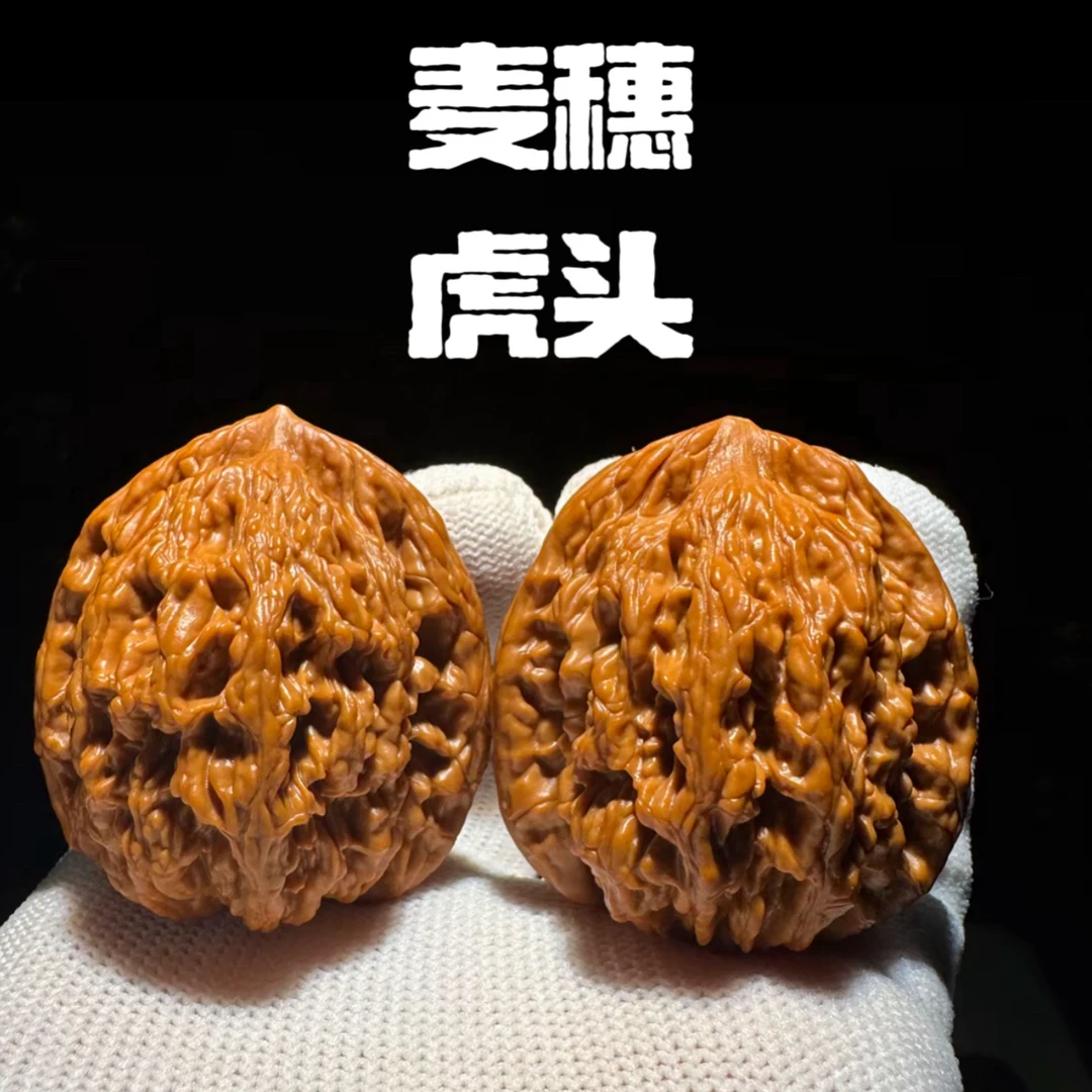 老款麦穗虎头 25 年新果