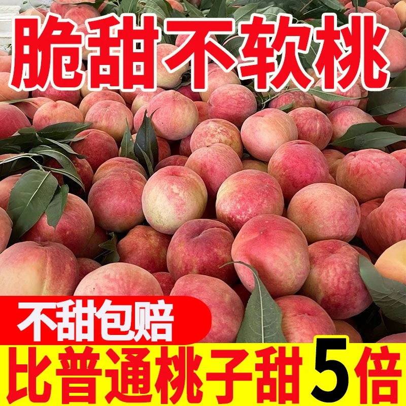 【头茬山西红不软脆桃】新鲜现摘脆甜多汁当季应季水果现采现摘