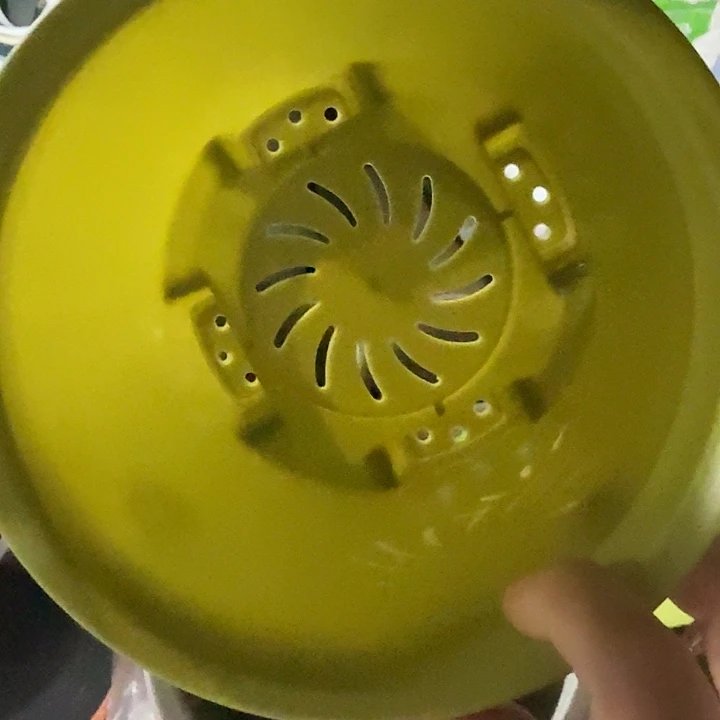 球根盆1号果绿无托10个