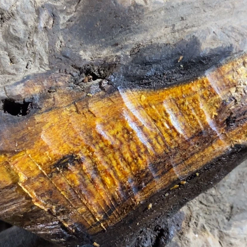 【闪购商品】把件贡木奋****哥私人订制