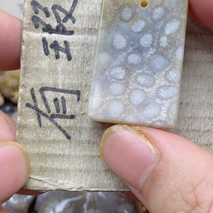 颈饰未镶嵌硅化珊瑚（珊瑚玉）s**.小