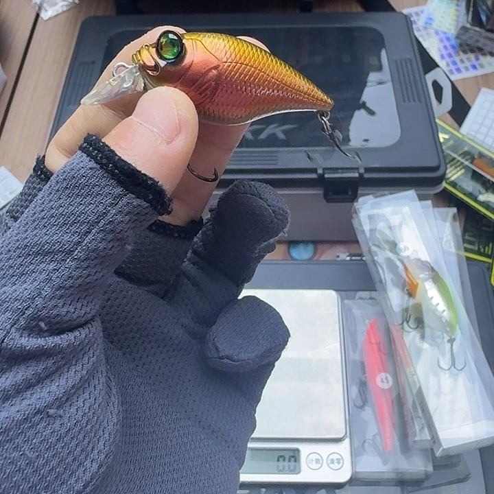 闪购专拍（图片为主）