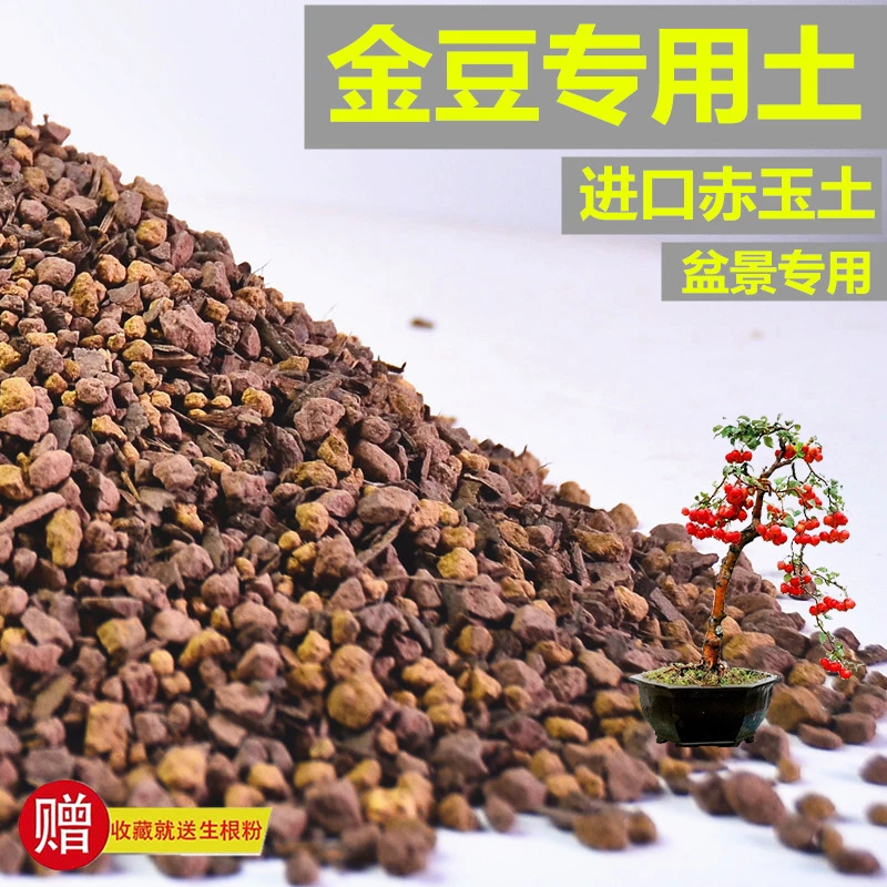 金豆专用土赤玉土风化土盆景土营养土酸性土专用肥有机缓释玉肥