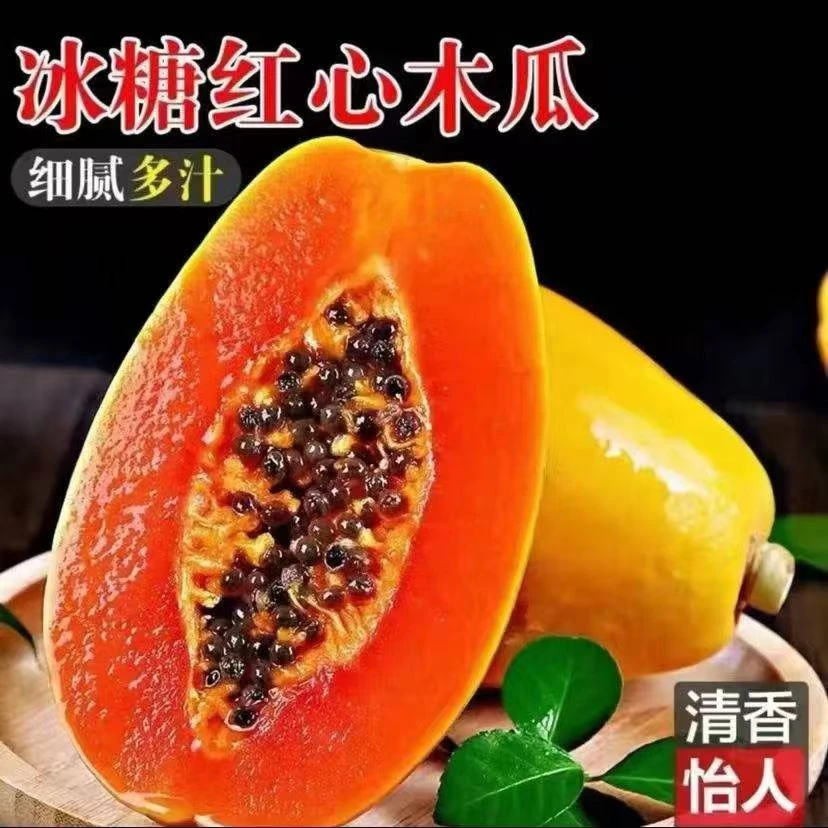 正宗冰糖红心木瓜5斤当季孕妇水果新鲜采摘