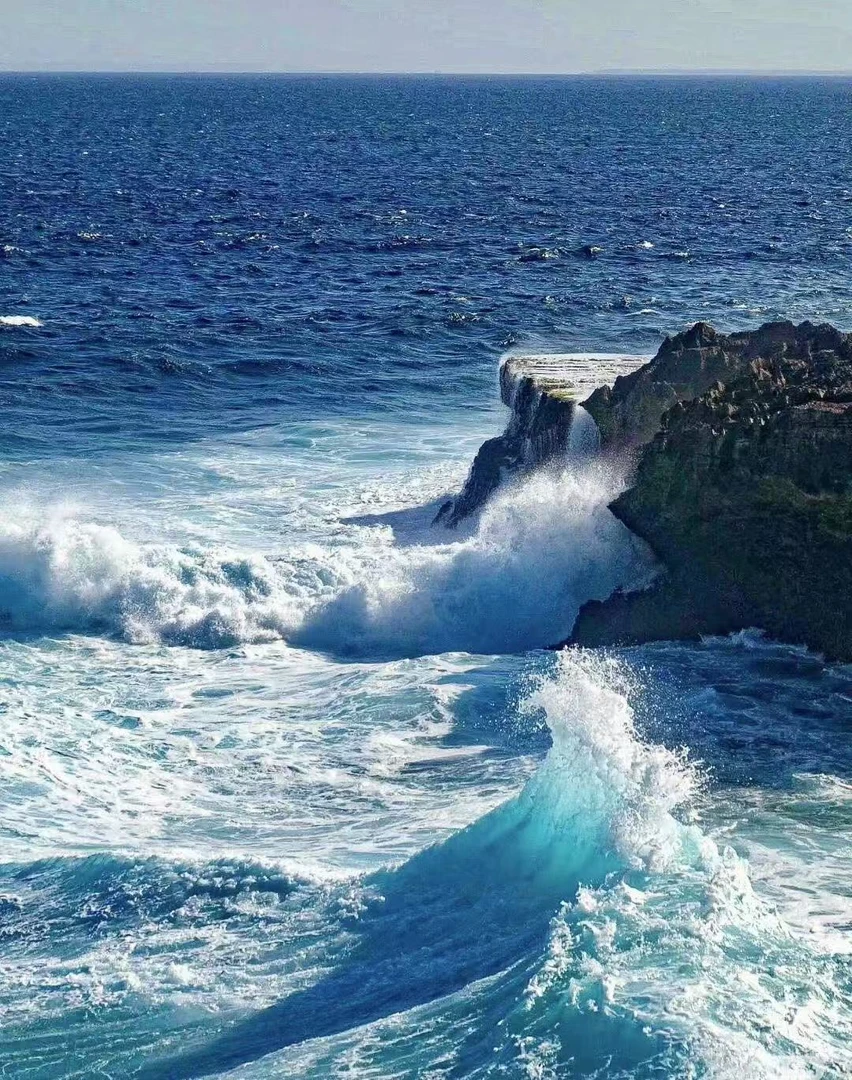 沉香SX-10-400 红圆单1.6