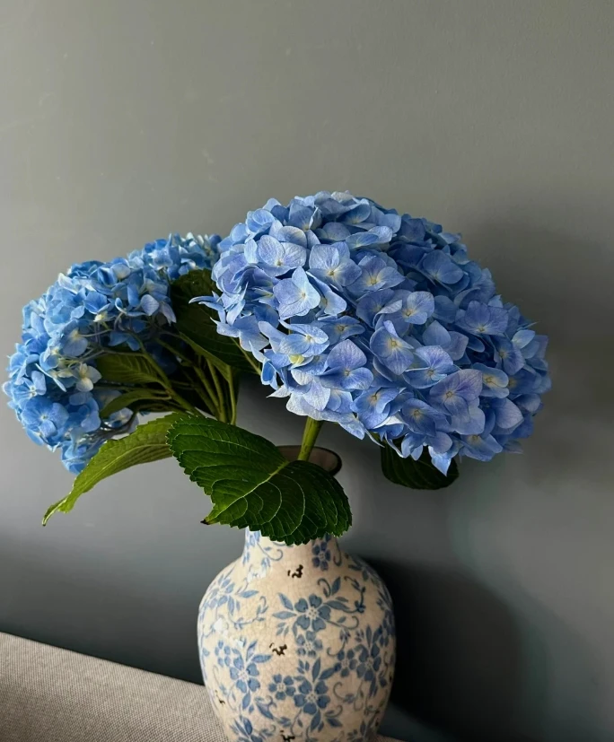 【一单包邮】绣球1枝+混拼洋桔梗1把7-8枝 （10%-20%不赔付）