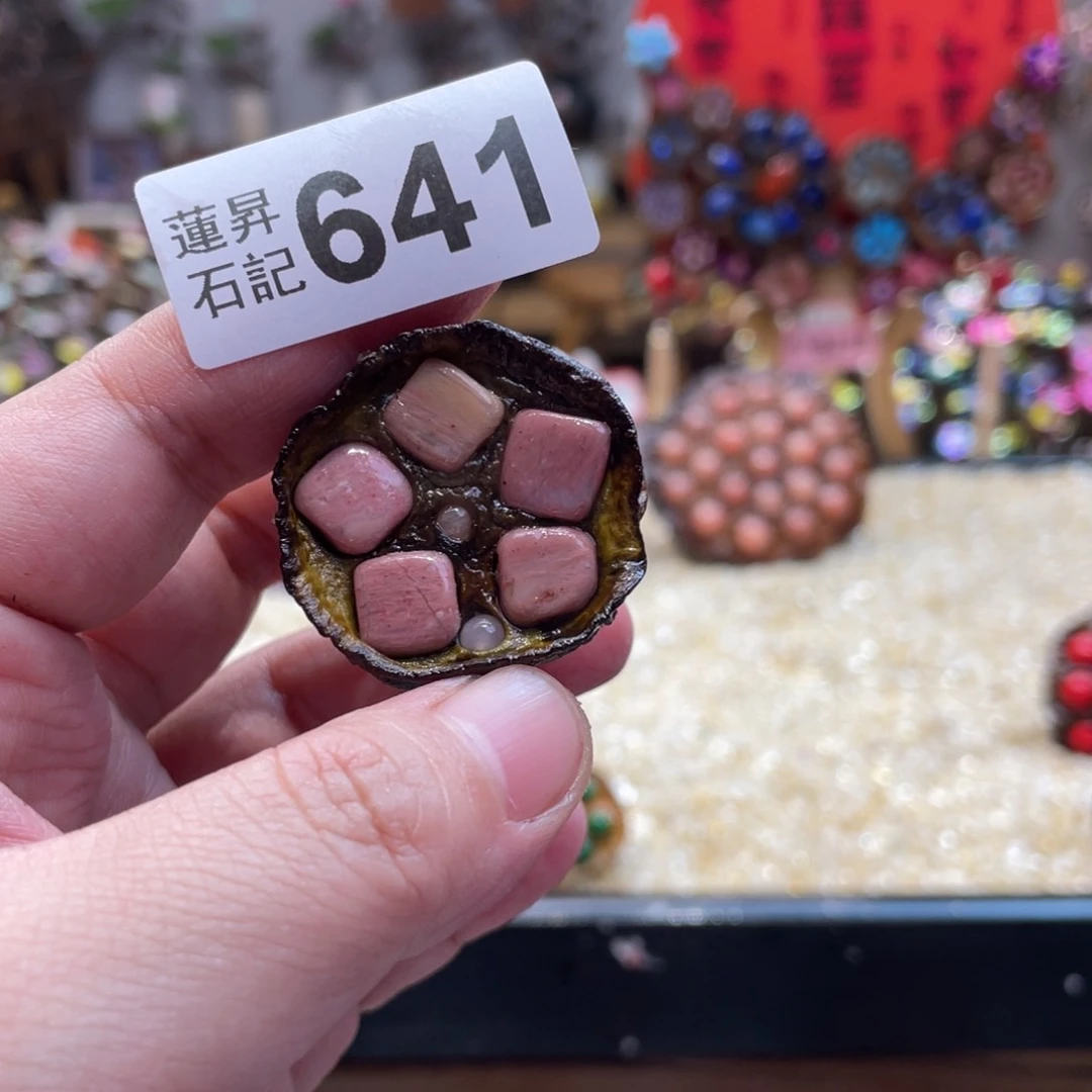 核桃木/黑胡桃（胡桃木）小*女641