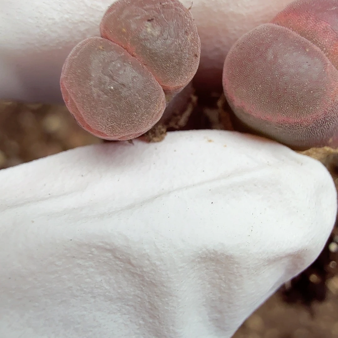 是一个不想被爱包围了783不