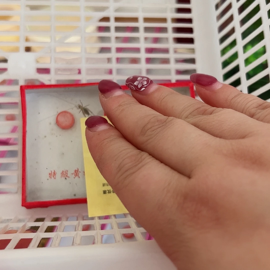 无***忧哈哈哈段须大黄两个