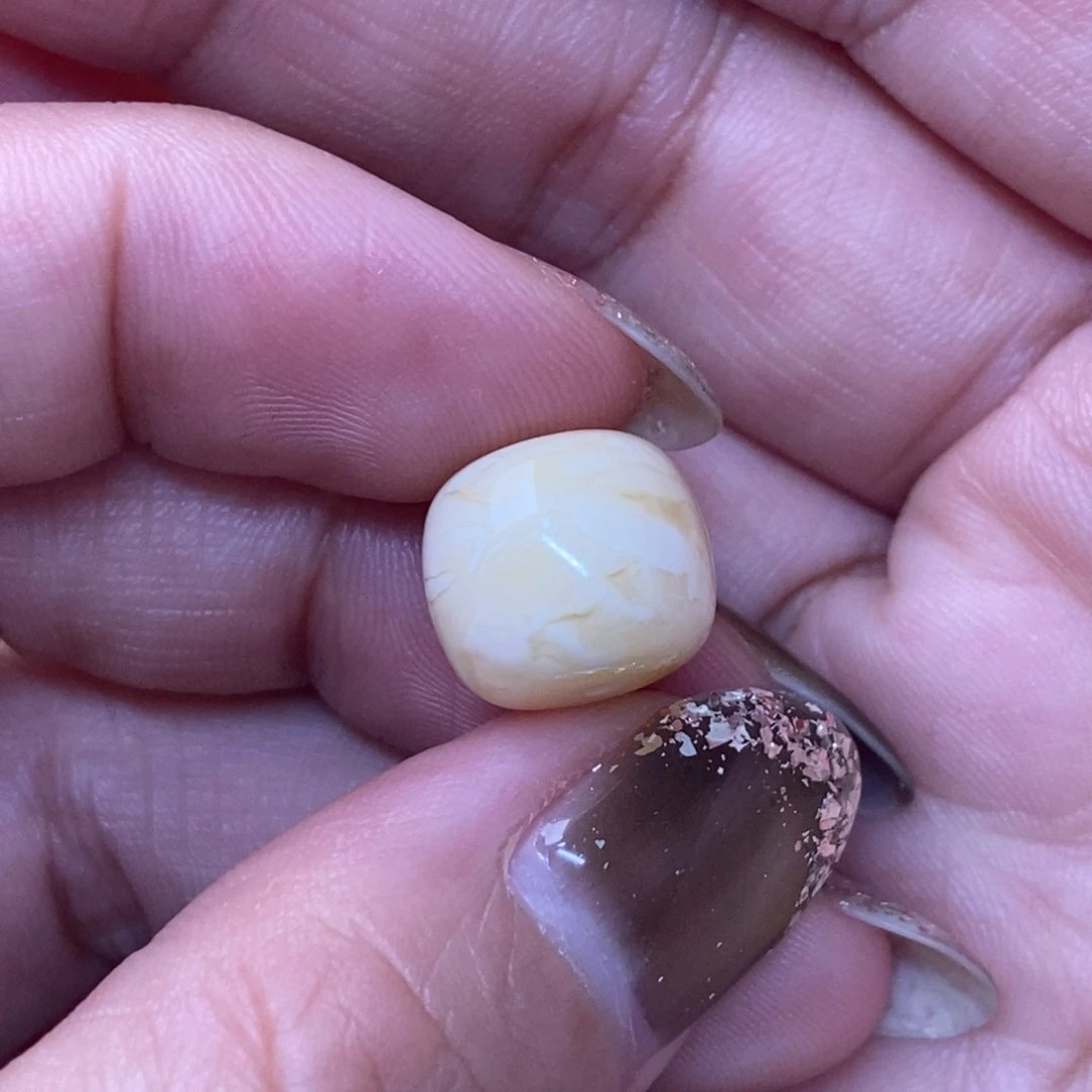 裸石琥珀未镶嵌刘*炮