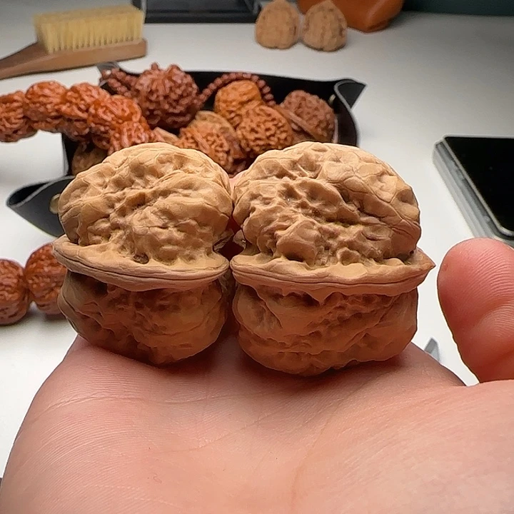 38-41-34肌肉蛙蟾型好C30号