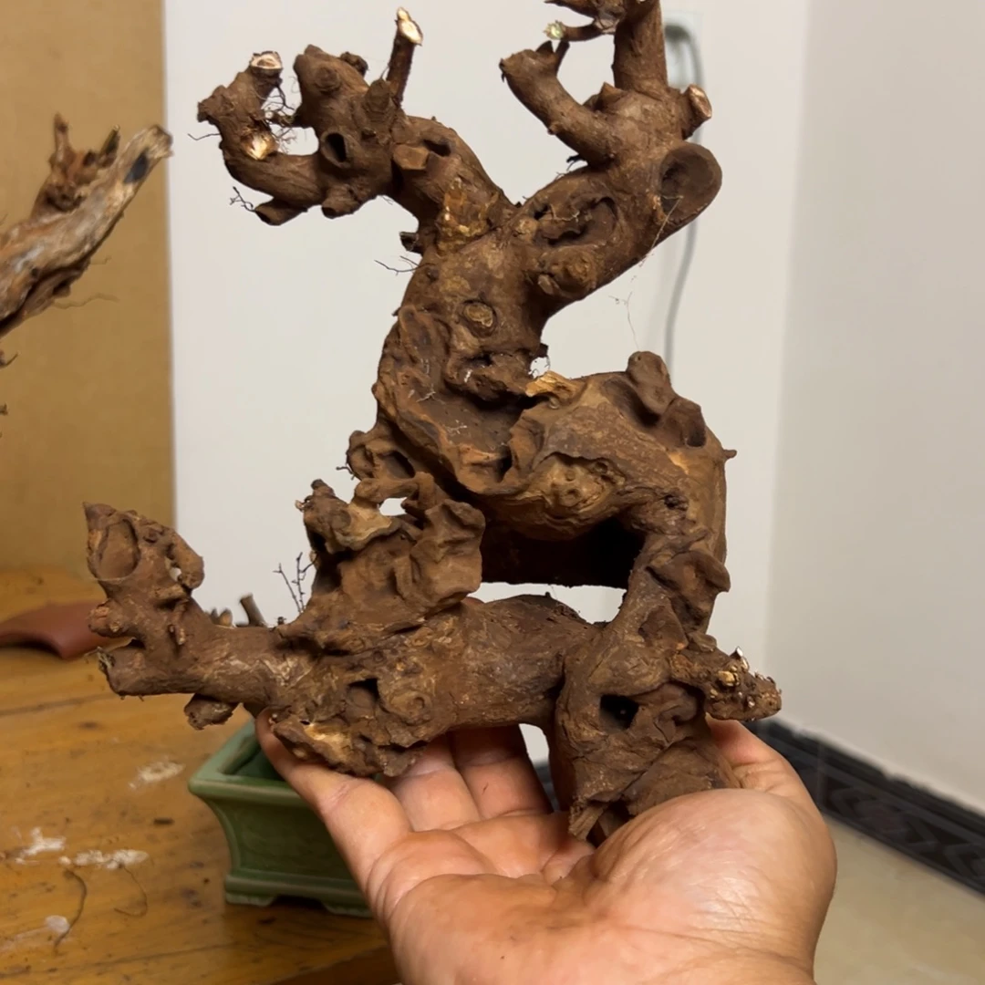 退回来了紧急集合好