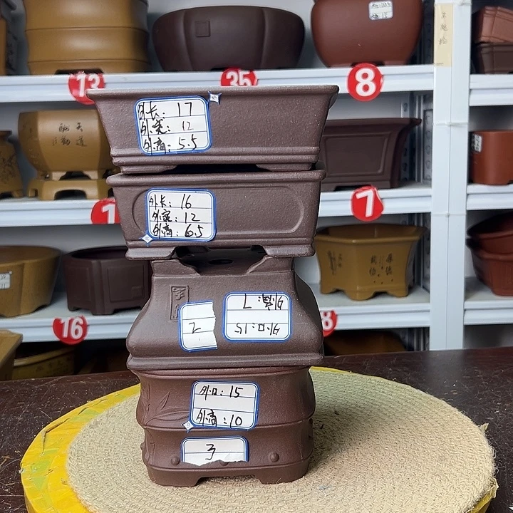 花盆紫砂你在一起