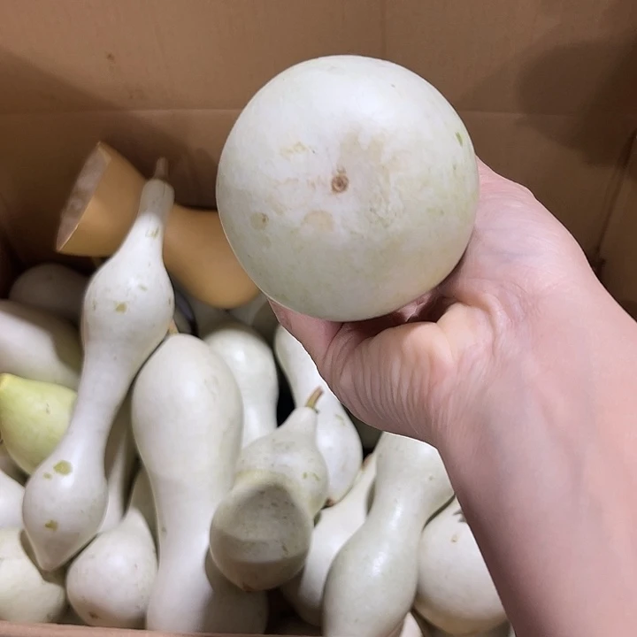 大果紫檀（缅甸花梨）顺***~