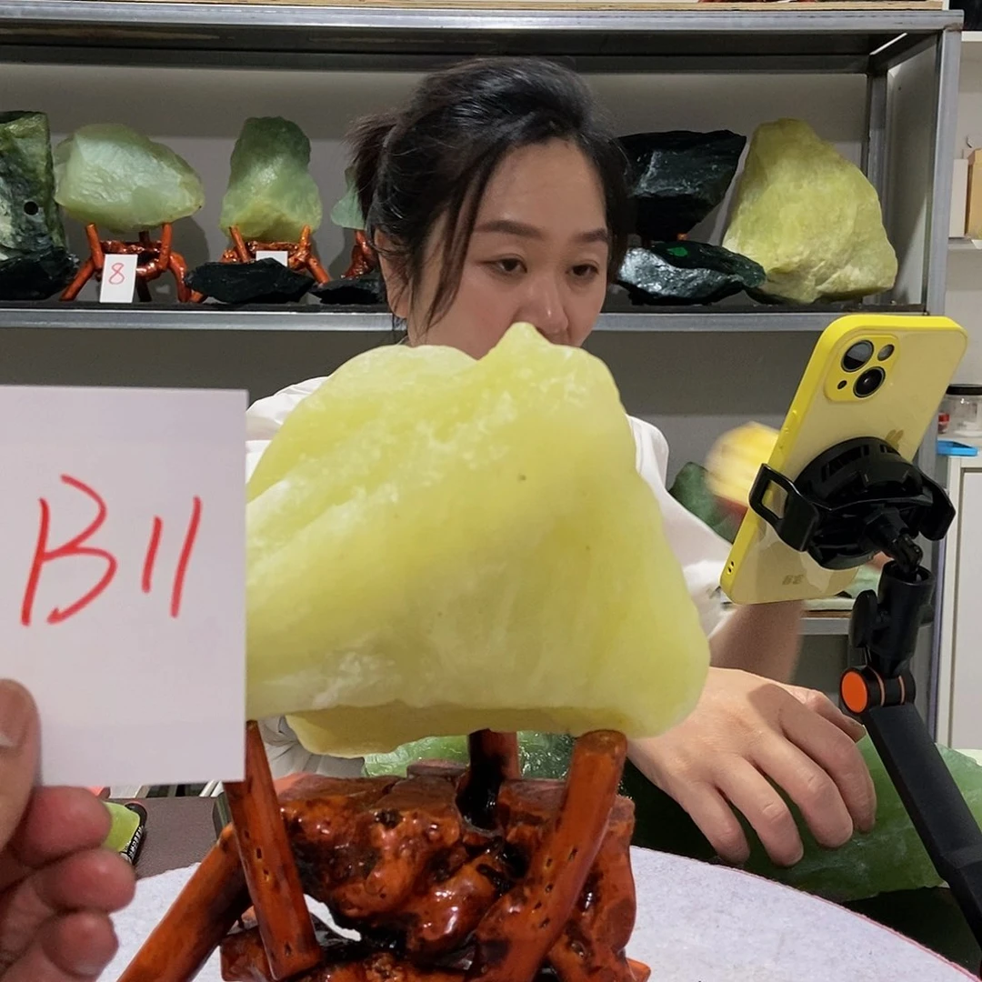 蛇纹石玉未镶嵌原石W****x