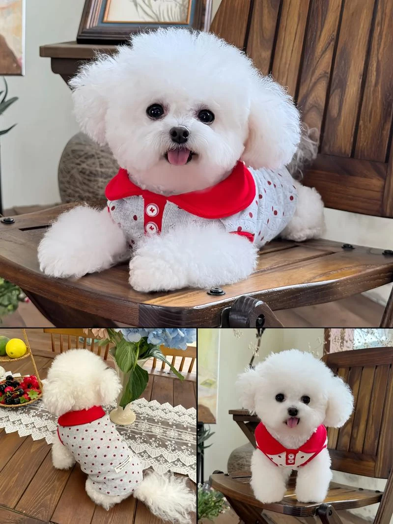 夏季薄款宠物翻领T恤适合泰迪猫咪比熊等小型犬