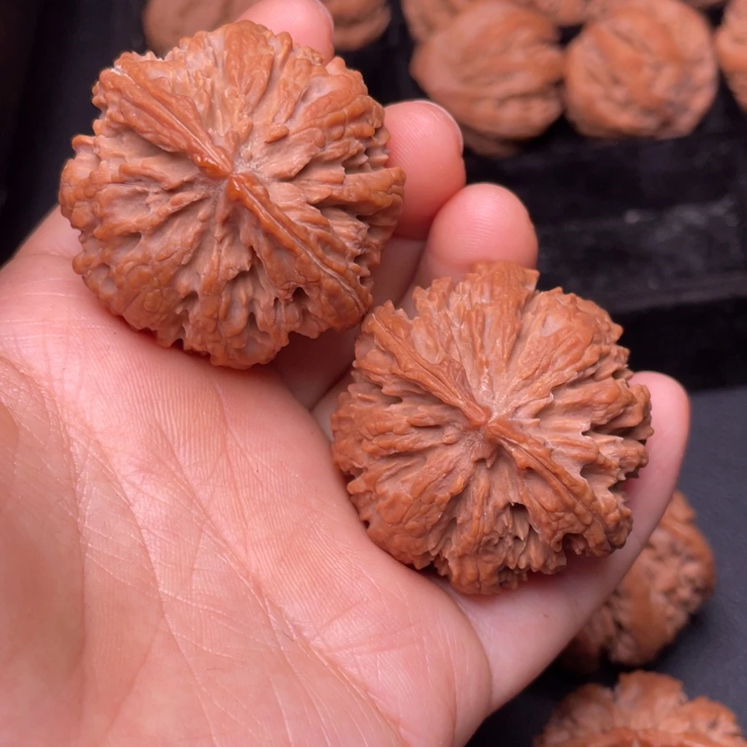 秦岭山脉文玩核桃