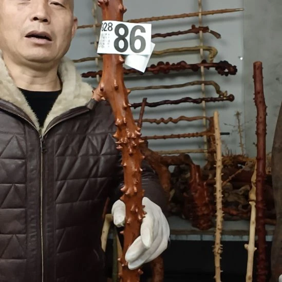 假***紫香榧木高山 檬子木文玩料