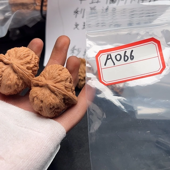 5555555555555555555555