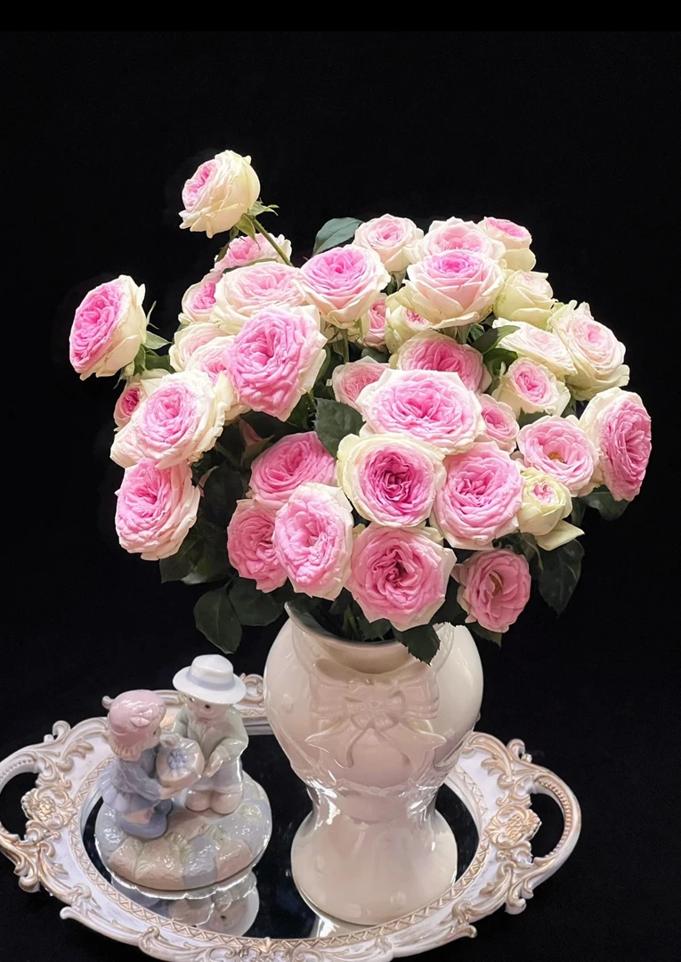 【悠米花】冰淇淋多头玫瑰10支