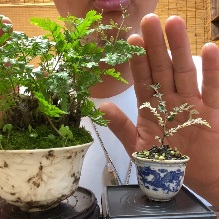 一物一拍所见即所得140