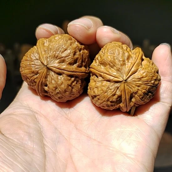 把件文玩核桃福利三棱粗筋37尺
