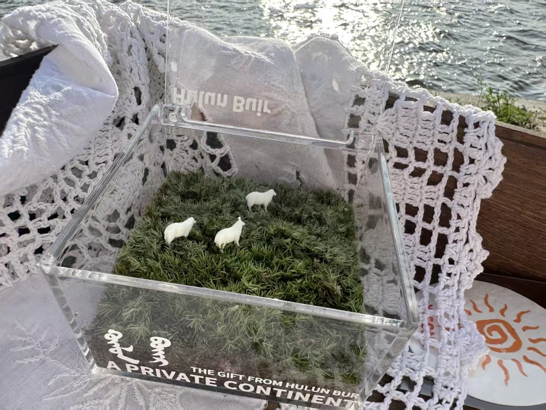 “打包一片草原”———草原微景观摆设  - 以北纬48°呼伦贝尔草原