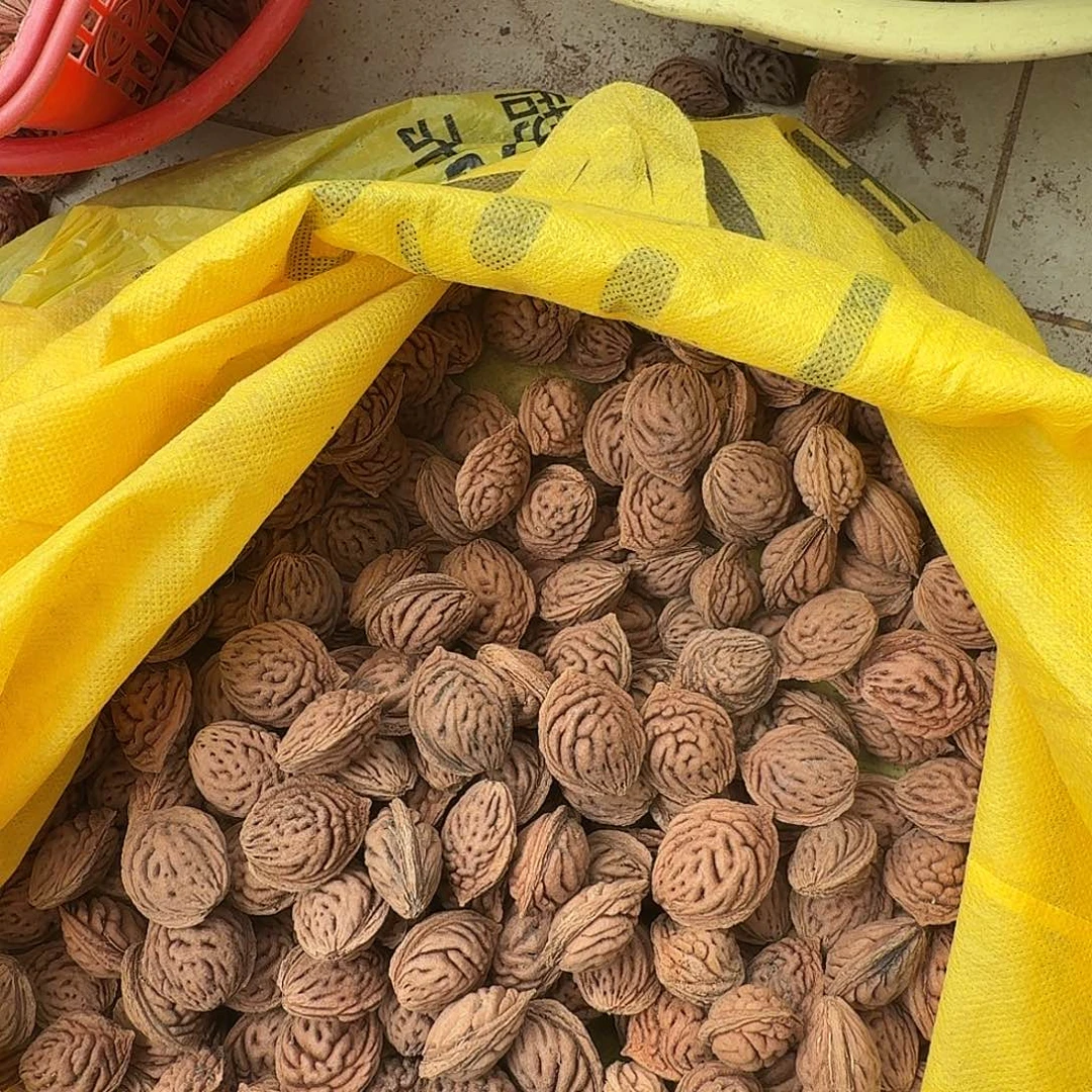 让***吧精品大桃核手持料340颗