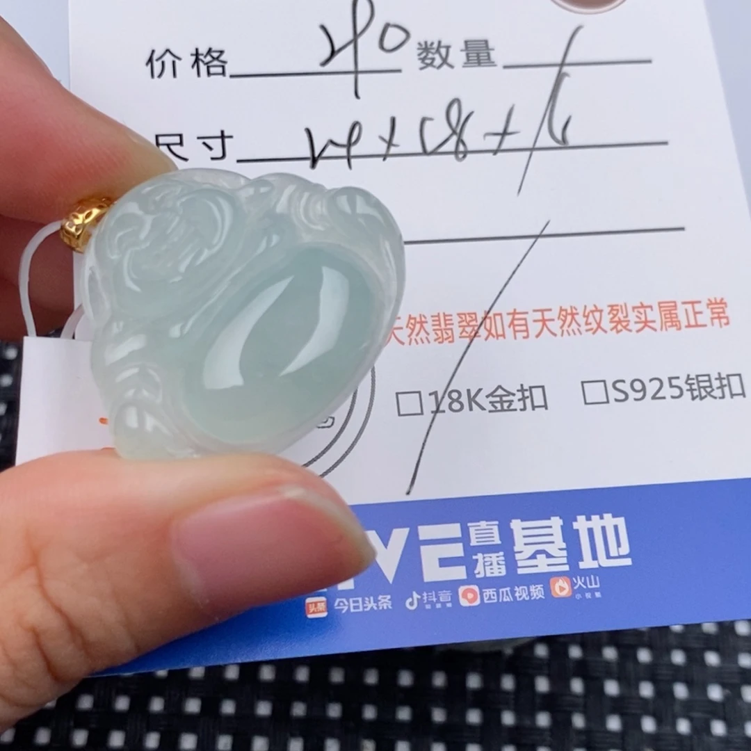 张***华翡翠18K金镶嵌颈饰