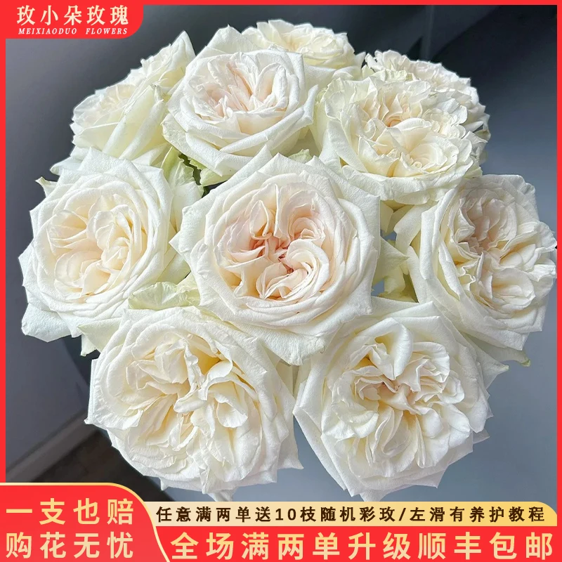 【粉荔枝&白荔枝】花期持久 产地直发 两单顺丰包邮