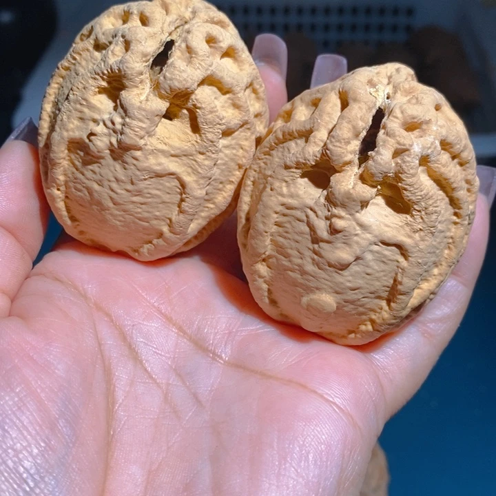 野生鬼脸乾坤核桃4855