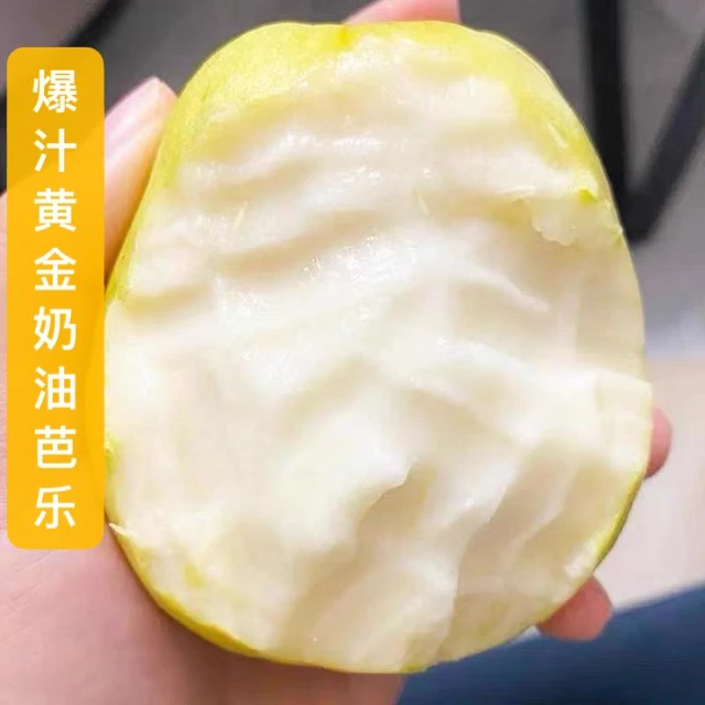 香【正宗广西黄金奶油芭乐】冰激凌芭乐软糯土番石榴新鲜当季水果