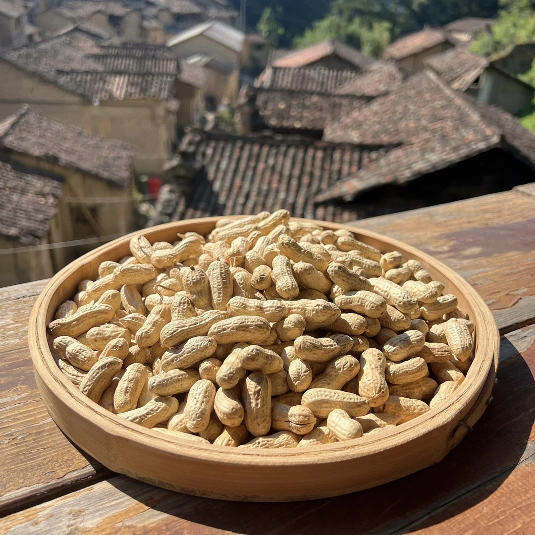 高山  农家  红皮花生